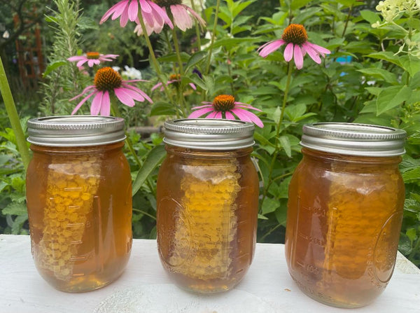 Pure Raw Chunk Honey- 1.5 pounds