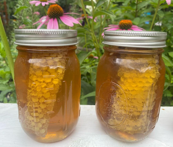 Pure Raw Chunk Honey- 1.5 pounds