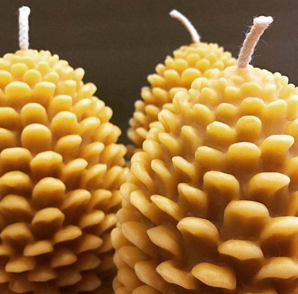 Pinecomb Beeswax Candel